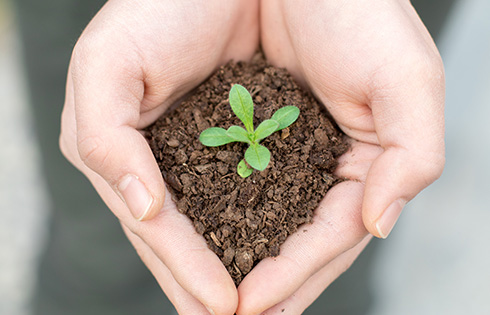 soil-hand